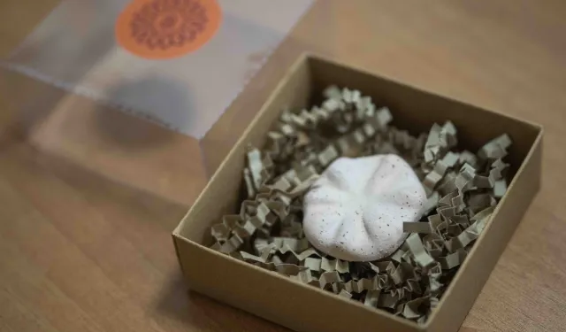 İzmir Bornova'nın 8 bin 500 yıllık hafızası gün yüzünde