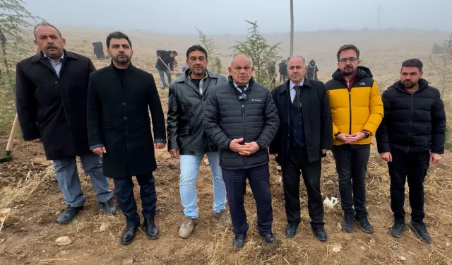 Kayseri Büyükşehir şehri yeşillendirmeye devam ediyor