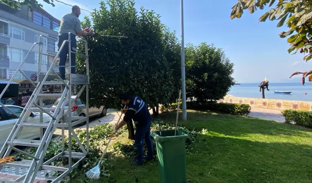 Kocaeli Büyükşehir'den yeşil alanlara özel bakım