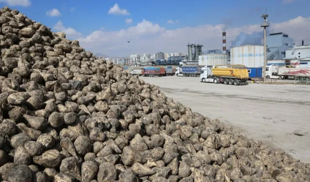 Konya Pancar Ekicileri bu yıl verimden memnun