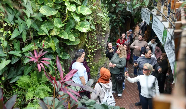 Konya Selçuklu'da Şeb-i Arus yoğunluğu