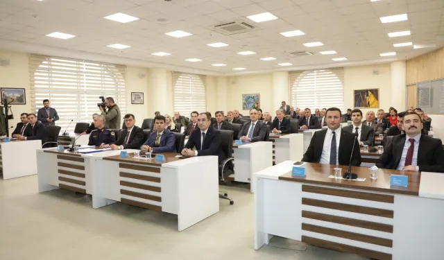 Kütahya'da sahipsiz hayvanlar için 10 yıllık eylem planı masada