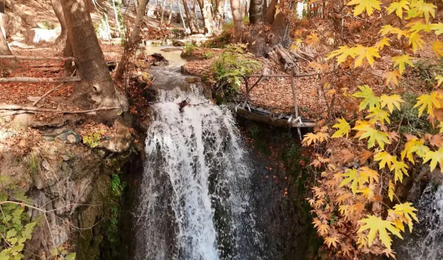 Mardin'in gizli cenneti renk cümbüşüne döndü