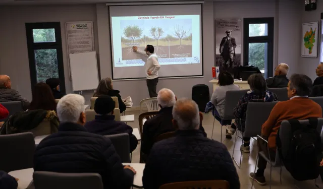 İzmir Efes Selçuk'ta üreticilere zeytin budama eğitimi