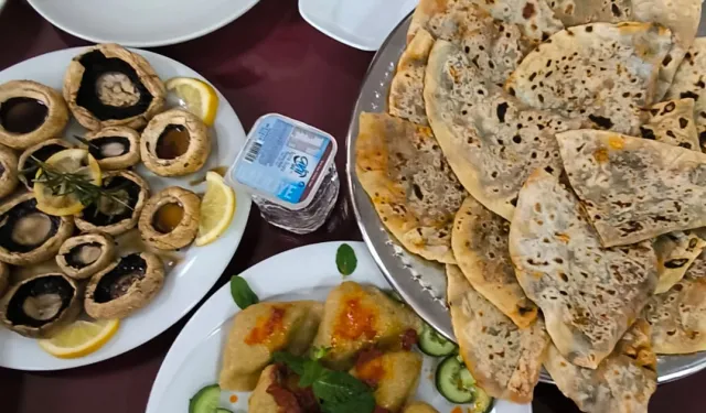 Mardin Kızıltepe'de kadın aşçılardan vegan şov