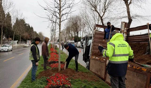 Sakarya'da 'Yeşil Şehir' vizyonu sahada