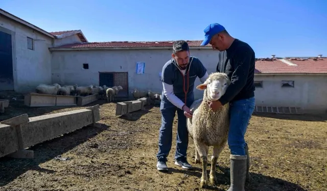 ABB'den kırsala veterinerlik hizmeti