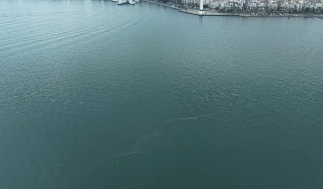 İzmir Körfezi'nde dış kaynaklı kirliliğin önüne geçilemiyor