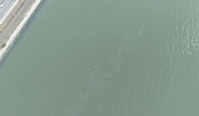 İzmir Körfezi'nde kirlilik endişelendiriyor! Aynı tehdit 11. kez görüldü