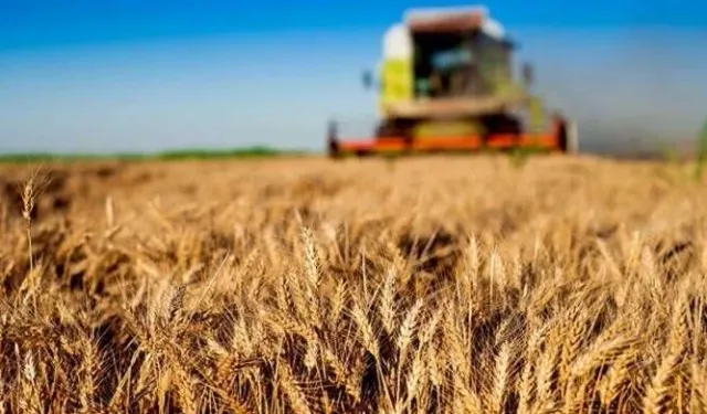 Kırsal kalkınmaya büyük destek... Tarım ve Orman'dan 30 milyon TL'ye kadar hibe!