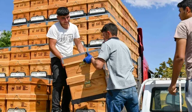 Ankara Büyükşehir'den arıcılara hibeli kovan desteği