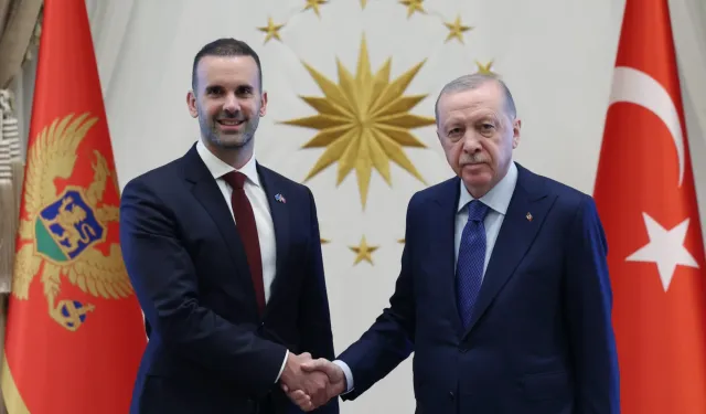 Erdoğan, Karadağ Başbakanı Spajiç'i Kabul Etti: İş Birliği Vurgusu