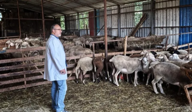 Kocaeli'nde hayvancılığa bütüncül destek
