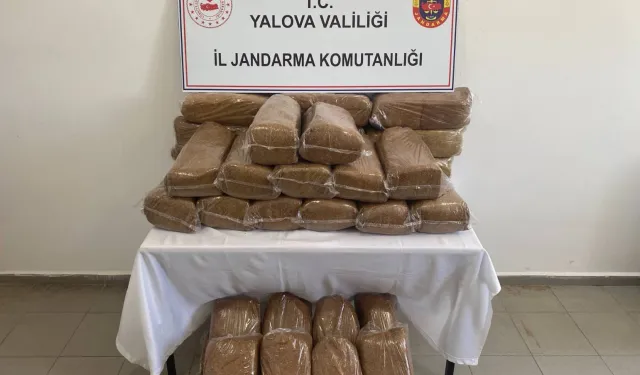 Yalova'da 160 Kg Kaçak Tütün Ele Geçirildi