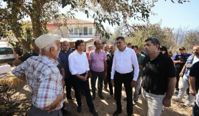Kaş'ta yangın yaraları sarılıyor