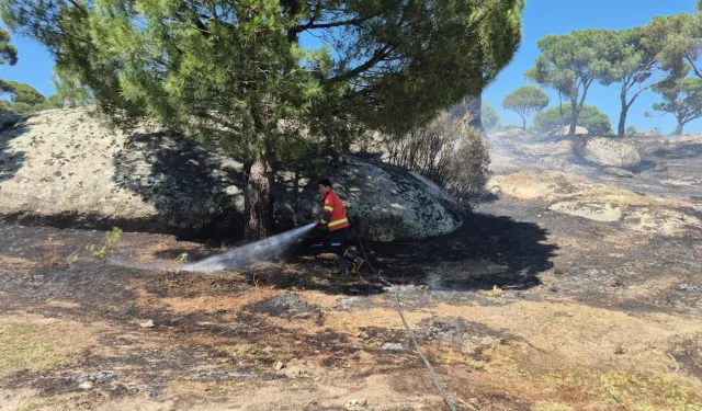 Muğla'da yangınların acı bilançosu! Her 10 yangından 7'si insan kaynaklı