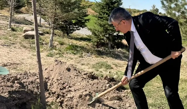 AK Partili Şaban Çopurluoğlu Kayseri Talas'ta fidan dikti