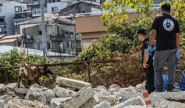 Arama köpeklerinin eğitim üssü Trabzon oldu