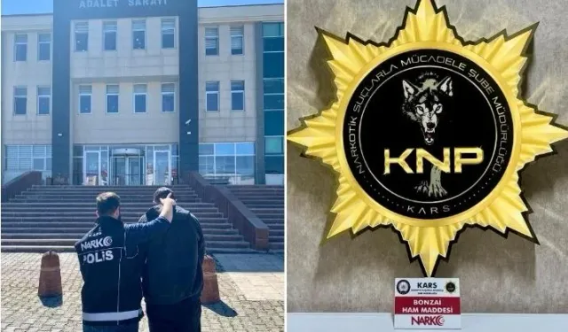 Kars'ta uyuşturucu operasyonu: Bonzai ham maddesi ele geçirildi