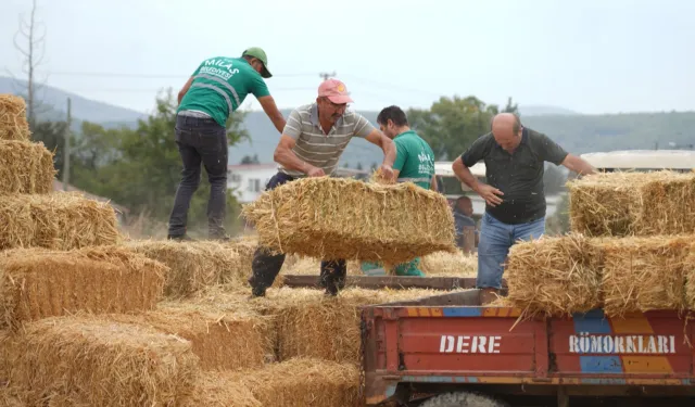 Milas Belediyesi'nden üreticilere destek paketi