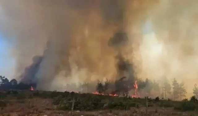 Muğla'da orman yangını büyüyor: Ula'ya ulaştı