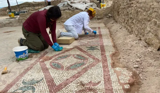 Pompeiopolis'te yeni keşif: 105 metrekarelik mozaik ve Eros başı bulundu