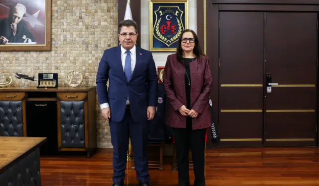 Ceza ve Tevkifevleri Genel Müdürlüğü ile Avrupa Konseyi arasında iş birliği görüşmesi