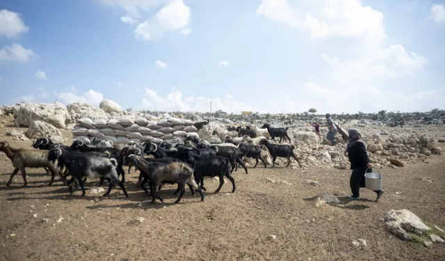 Mersin'de üreticiye güneş paneli desteği
