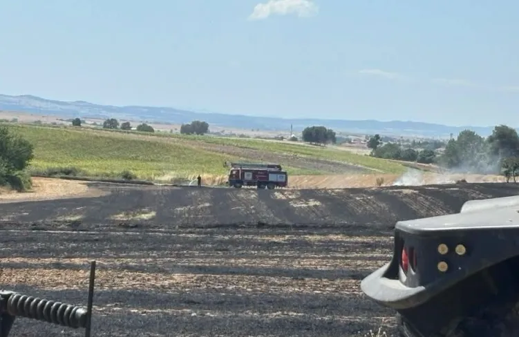 Aliçopehlivan Köyü'nde yangın: 50 dekar arazi zarar gördü