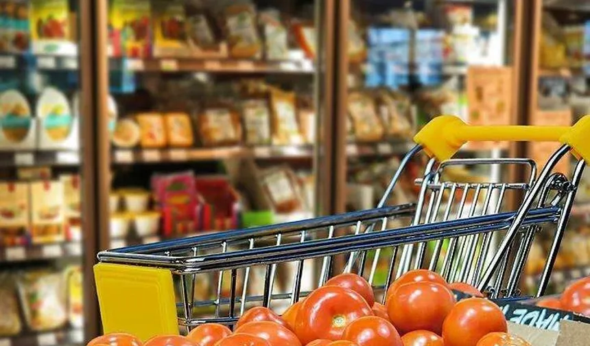 Ekonomik güven endeksi 100,7 oldu