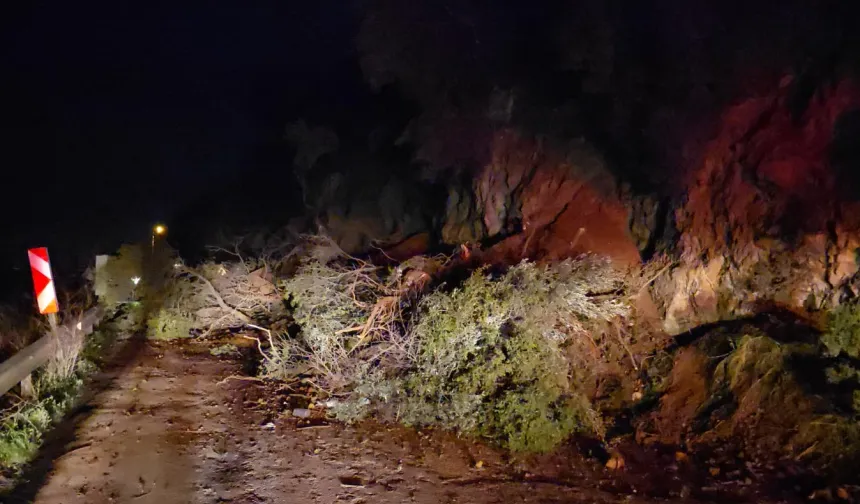 Mudanya-Kurşunlu yolunda geceyarısı heyelan! Yol ulaşıma kapandı