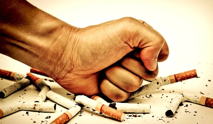 Sigarada OECD ortalamasını ikiye katladık