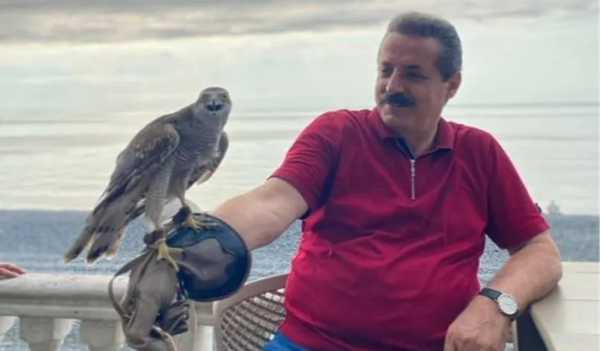 AK Parti Milletvekili Faruk Çelik, atmaca severlere müjdeledi... Artvin ve Rize'de geleneksel atmacacılığa hukuki güvence