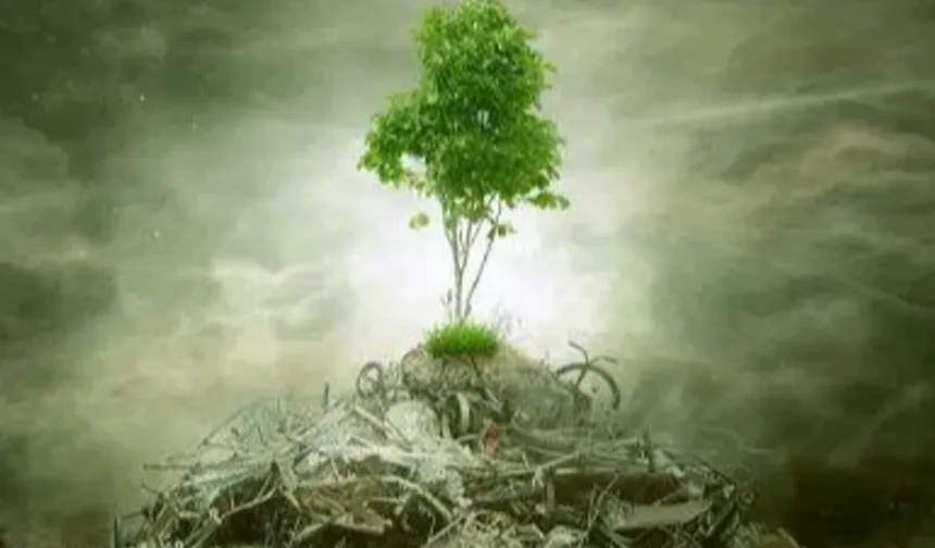 ÇED 'gerekli değil' kararı kaldırıldı! Yönetmelikle süreçler değişti