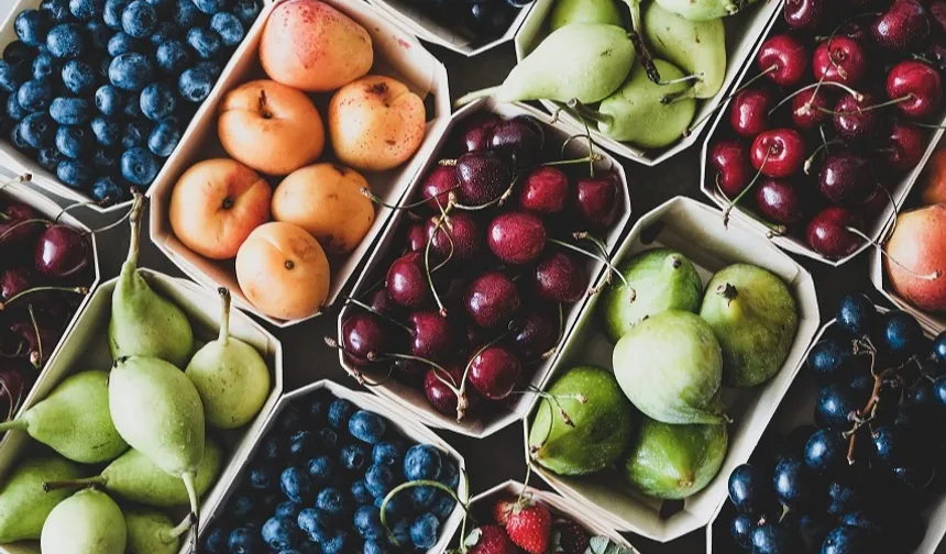 Egeli yaş meyve sebze ihracatçıları üç koldan sürdürülebilirlik atağında