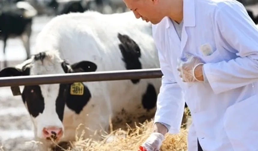 Tarımda maliyet baskısı sürüyor... Girdi fiyatları veteriner harcamaları yine zirvede