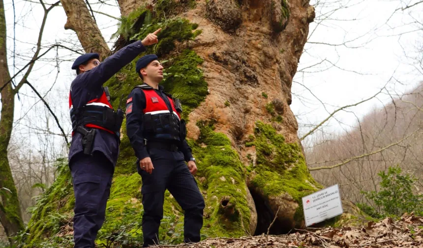Yalova'da Jandarma turizm bölgelerinde güvenliği artırdı