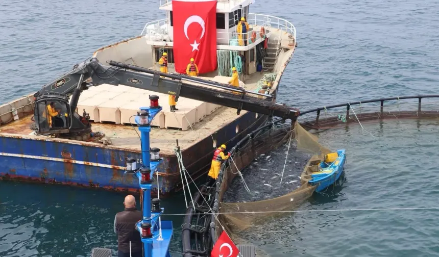 Türk somonu ihracatta rekor yolunda... Üretim 75 bin tona ulaştı