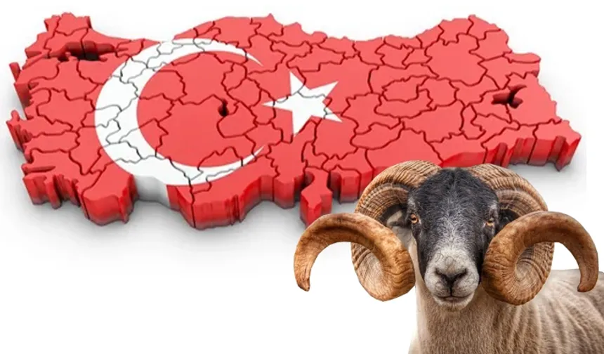 Yoğun gündeme bayram molası!