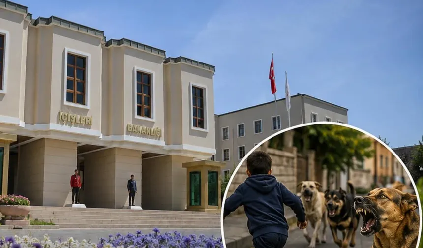 İçişleri Bakanlığı'ndan 3 Belediye Başkanına Köpek Saldırısı Soruşturması
