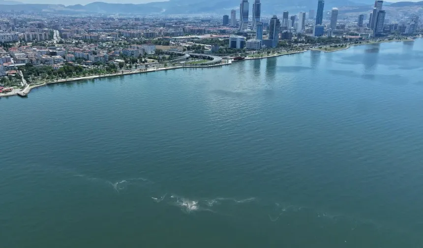 İzmir Körfezi'nde 14'üncü kirlilik tespiti