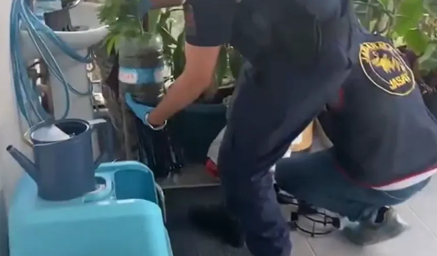 Jandarma'dan 5 ilde uyuşturucuya 341 gözaltı