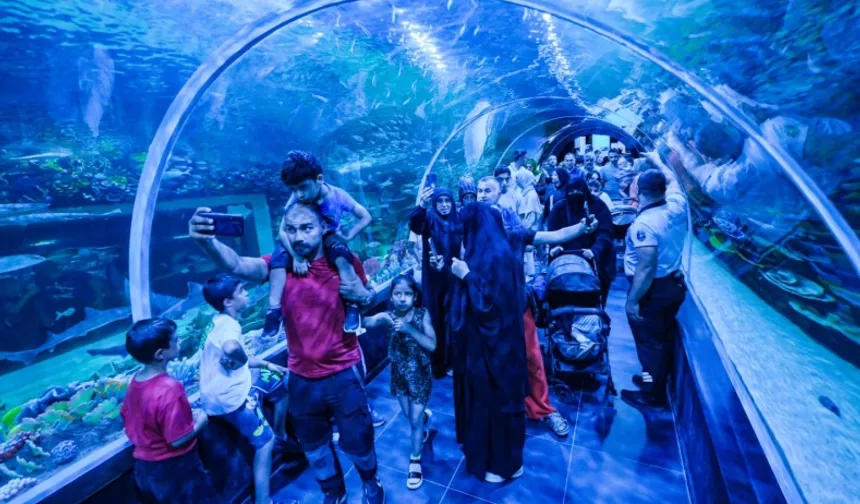 Körfez Aqua Kıtalar Akvaryumu'na yoğun ilgi
