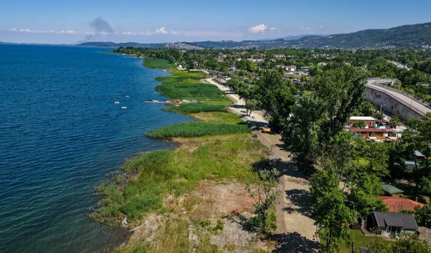 Sapanca Gölü'nde Sazlık Temizliği Sonrası Sağlıklı Yenilenme Gözlendi