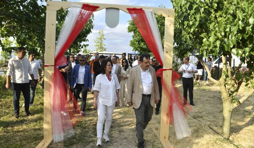 ABB ATA Çiftliği'nde İlk Dut Hasadı Büyükelçilerin Katılımıyla Yapıldı