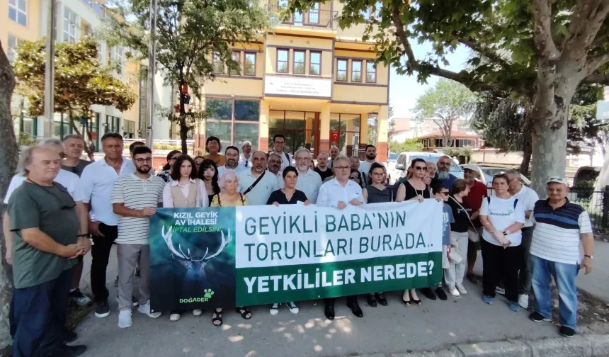 Bursa'da Kızıl Geyik Avı İhalesine Tepki: Doğa İhale Edilemez!
