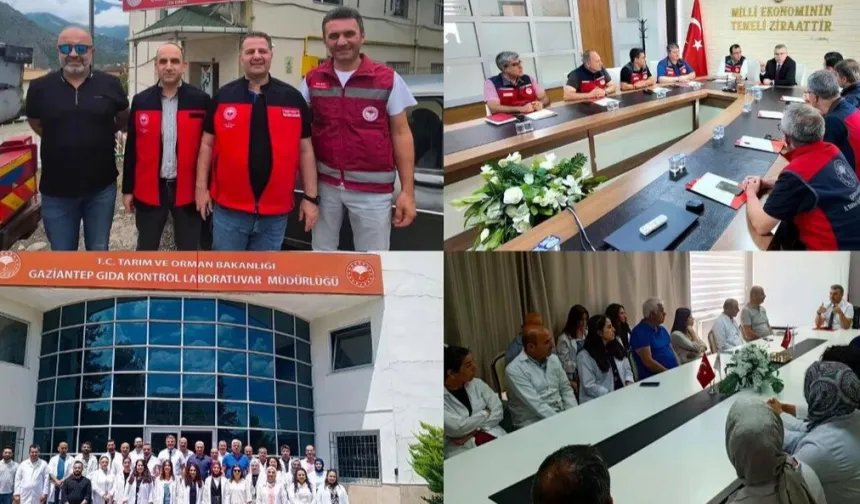 Gıda ve Kontrol Genel Müdürlüğü'nden Güvenilir Gıda İçin Denetim Mesajı
