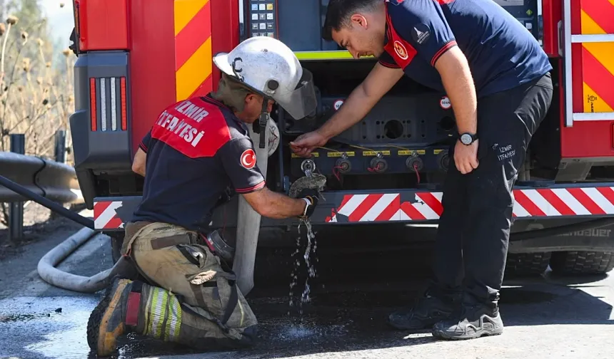 Bornova'da Orman Yangını: İtfaiye Ekipleri Bukalemunu Kurtardı