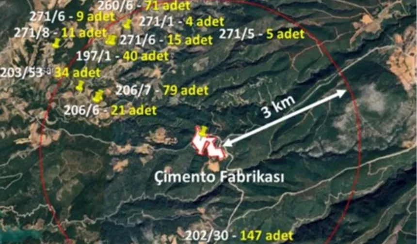 Muğla Büyükşehir'den Bayır-Deştin Çimento Raporuna İtiraz