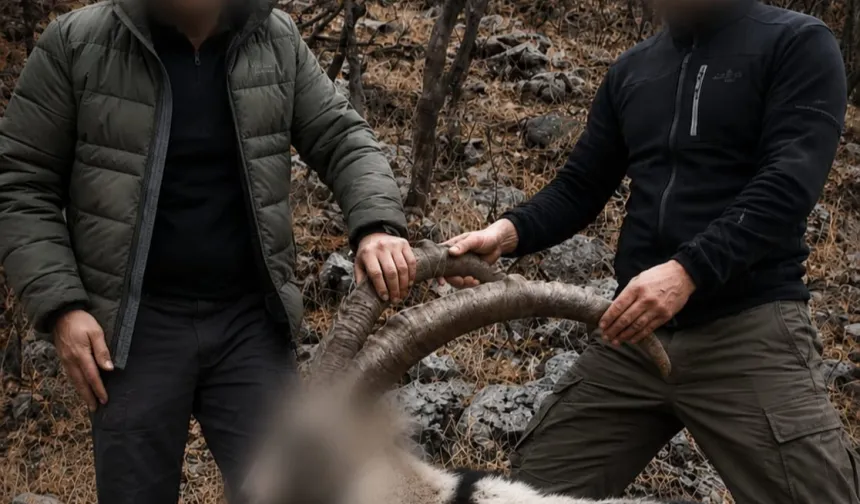 5 yaban keçisinin kaçak avcılarına 6 yıl sonra ceza